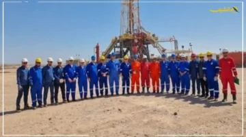 لزيادة الإنتاج.. جنوب الوادي تنظم جولات ميدانية وورش عمل لتبادل الخبرات الفنية بالحقول 1